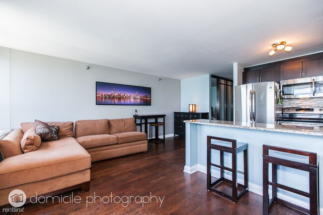 1 br, 1 bath Condo - 474 N Lake Shore Dr - 1 br, 1 bath Condo - 474 N Lake Shore Dr