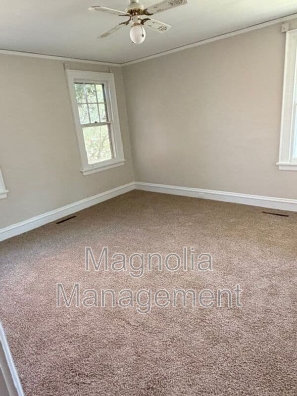 Photo - 503 Young St