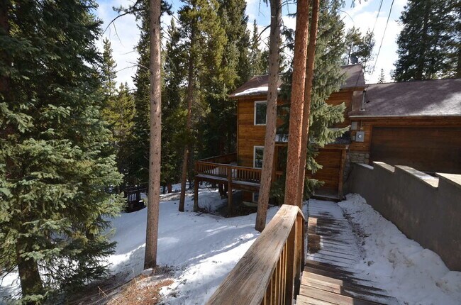 Photo - In the woods! Garage and pets negotiable!