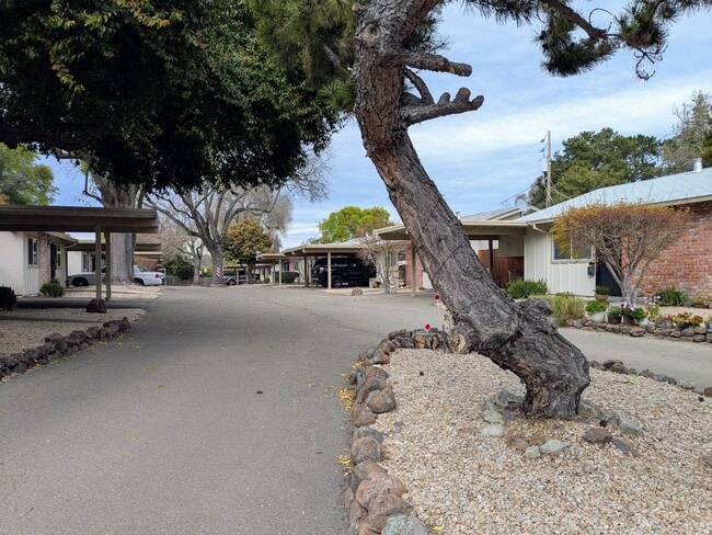 Photo - 7327 Starward Dr