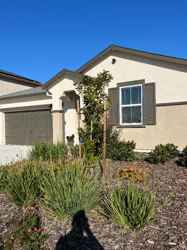 Building Photo - 10424 Skynyrd Way Rental