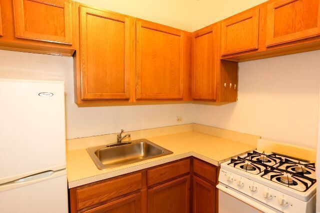 Photo - 1169 N Dearborn Unit 513