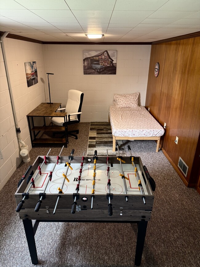 Basement - 33 Millbrook Rd