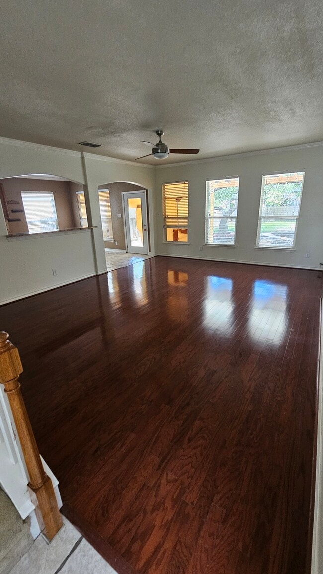 Building Photo - 4719 Shavano Ct Rental
