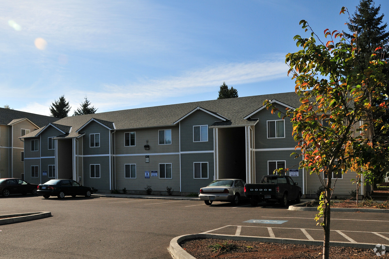 Magnolia Court Apartments - Magnolia Court Apartments