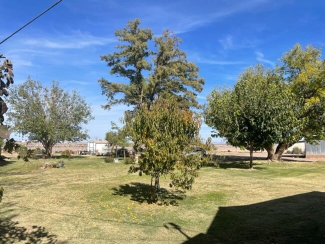 Photo - Ranch Style Farm