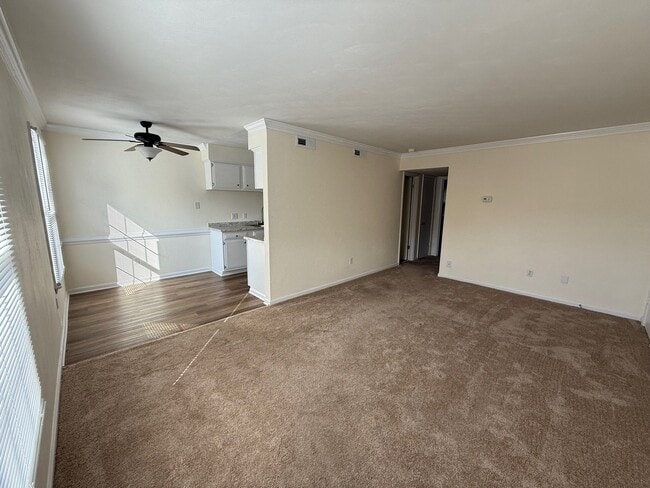 Photo - Holly Hill Apartments