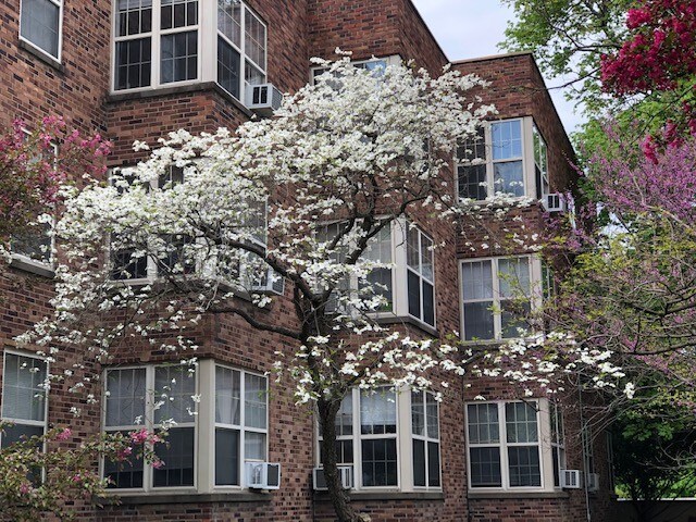 The Manor 518-520 Dryden Road