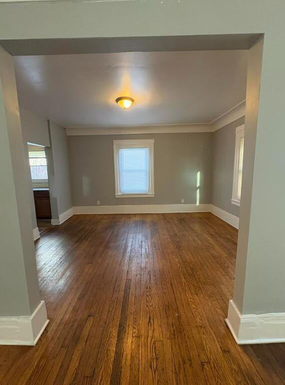 Photo - 81 Woodland St