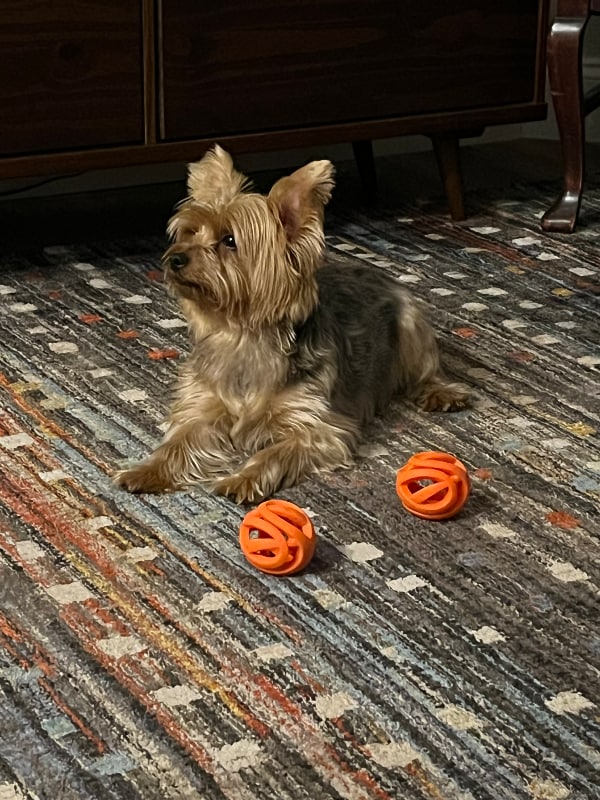 Photo - 100 Palm Harbor Pkwy