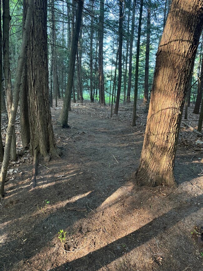 Photo - 1111 Woodsdale Dr