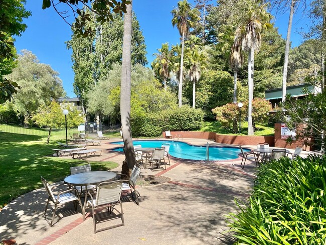 Building Photo - Spacious Top-Floor STUDIO in Beautiful Shelter Creek - WATER & GARBAGE Included!