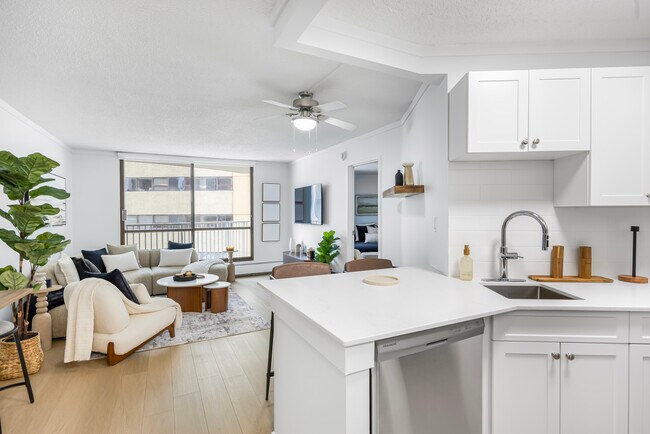 Kitchen/Living Room - Edmonton House