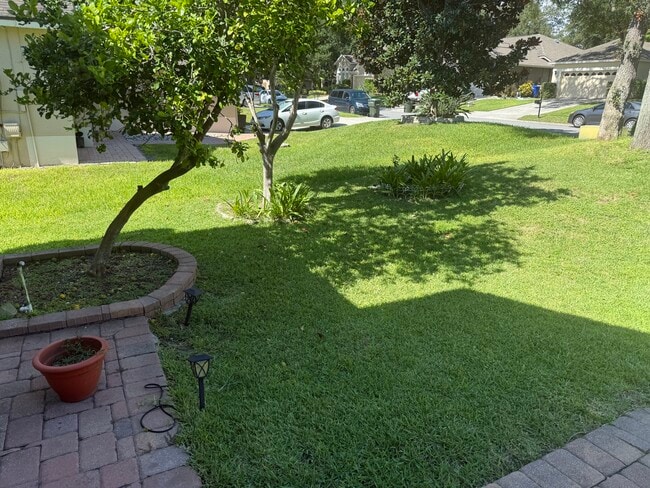 green lawn and private street - 871 Cool Springs Cir