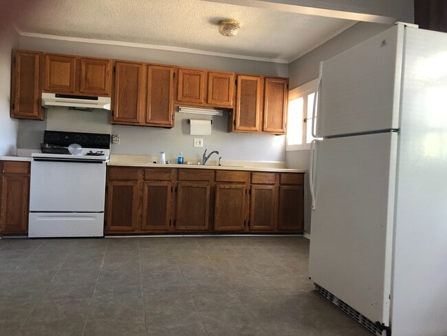 Photo - Available to show!