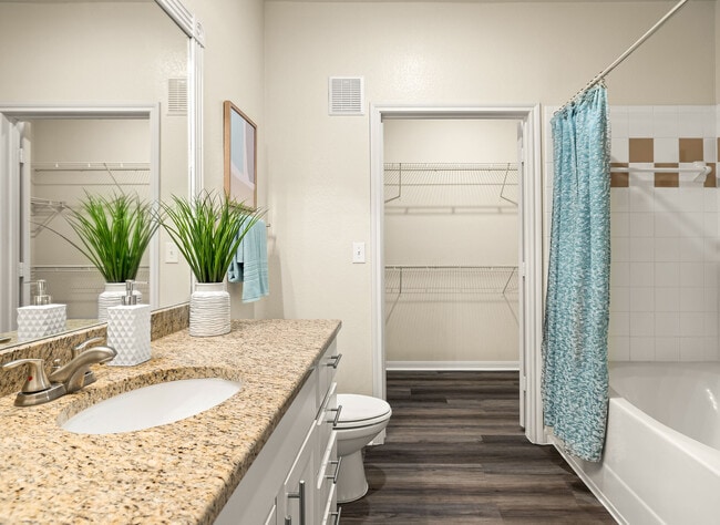 Onion Creek Luxury Apartments