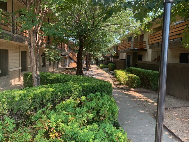 Cedars Apartments