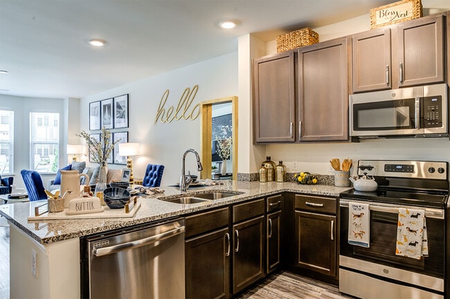 Photo - Allure Apollo