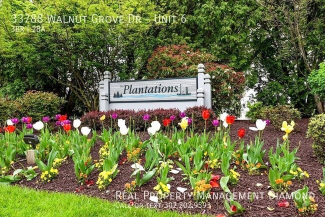 Photo - 33788 Walnut Grove Dr Unit 6