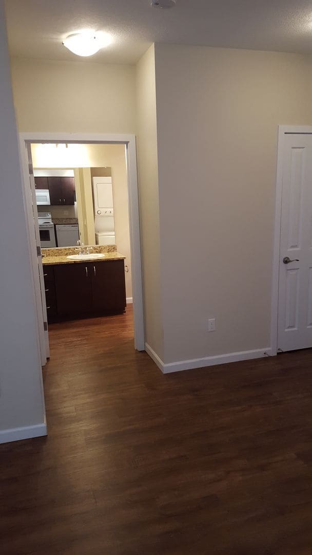 Photo - Cathedral Park