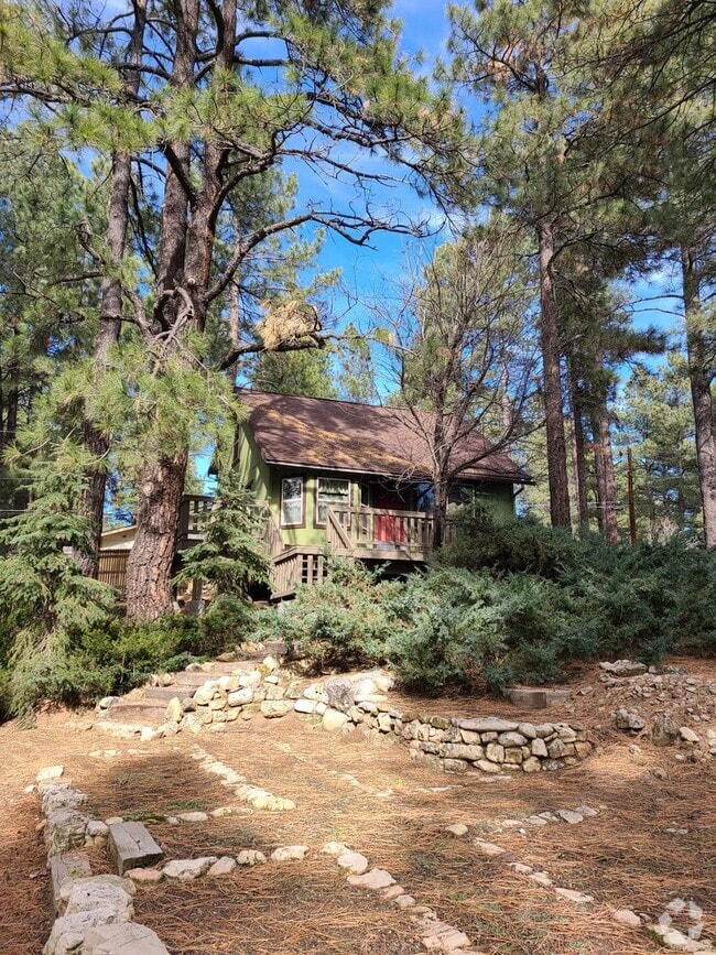 Building Photo - Updated Turn key Cabin In Mountainaire- CO... Rental
