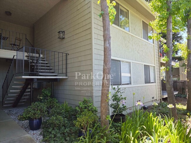 Building Photo - Super Spacious 2 bedroom Condo Unit 1