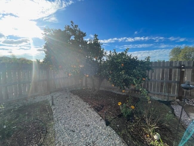 Photo - 160 Calle Querido