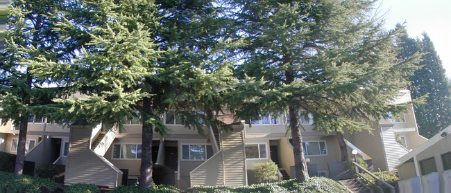 The Bridgecrest - The Bridgecrest Apartments