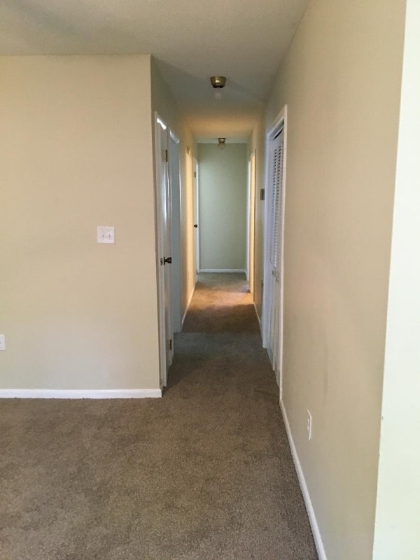 Photo - 917 Flythe Dr