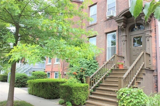 Building Photo - 151 Bradley St Unit LL Rental