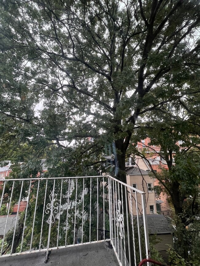 4251 Ketcham St Unit 3rd Floor