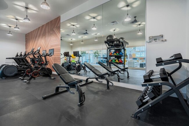 Photo - Steeplechase