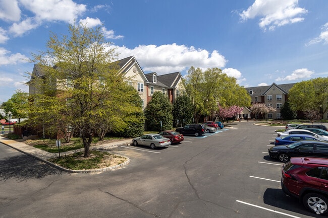 Photo - Maple Shade Mews