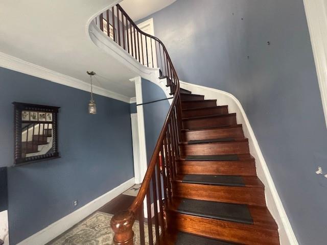 Photo - 52 Manning St