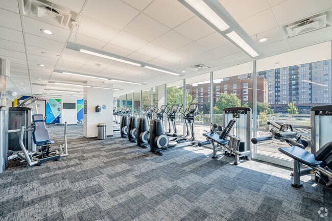 Gimnasio - Lark on Main