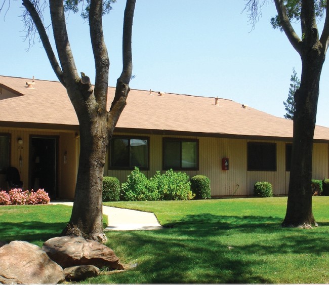 Golden Village Apartments - Golden Village Apartments