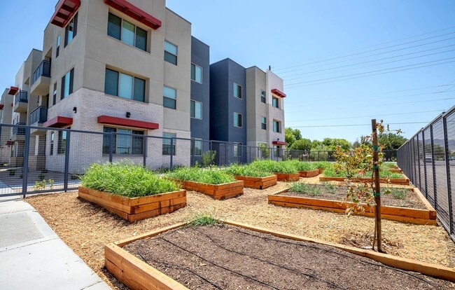 Vista Ridge Apartments