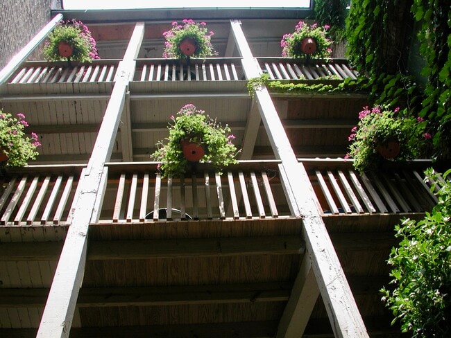 Photo - 1409 W Albion Ave Unit 3