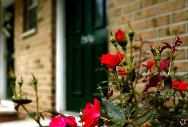 Photo - White Pine Townhomes and Apartments