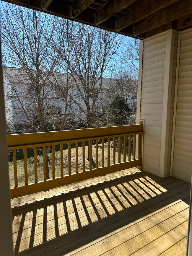 Photo - Magnolia Lane