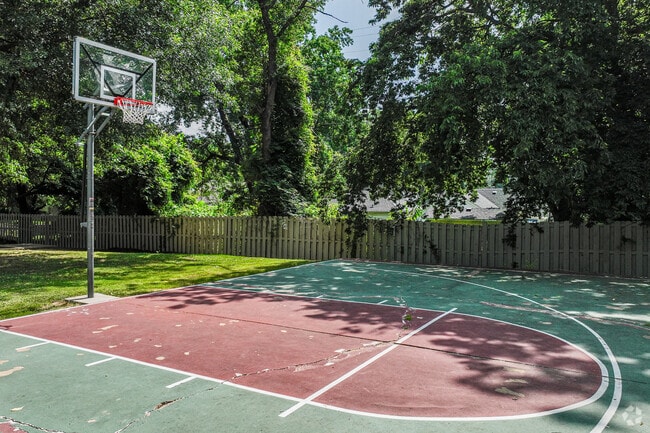 Basketball Court