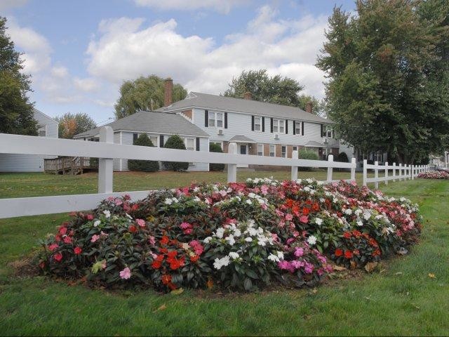 Chicopee Village Townhomes - Chicopee Village Townhomes