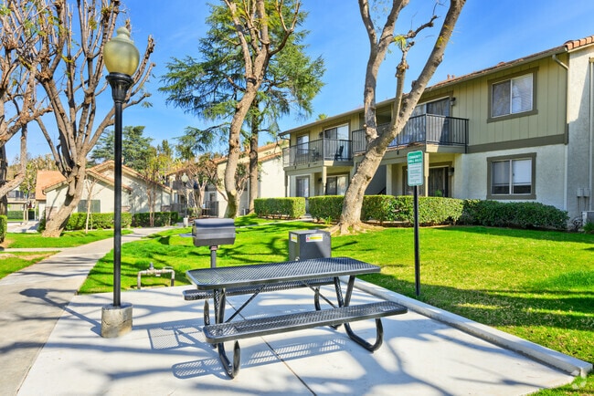 BBQ Grills
