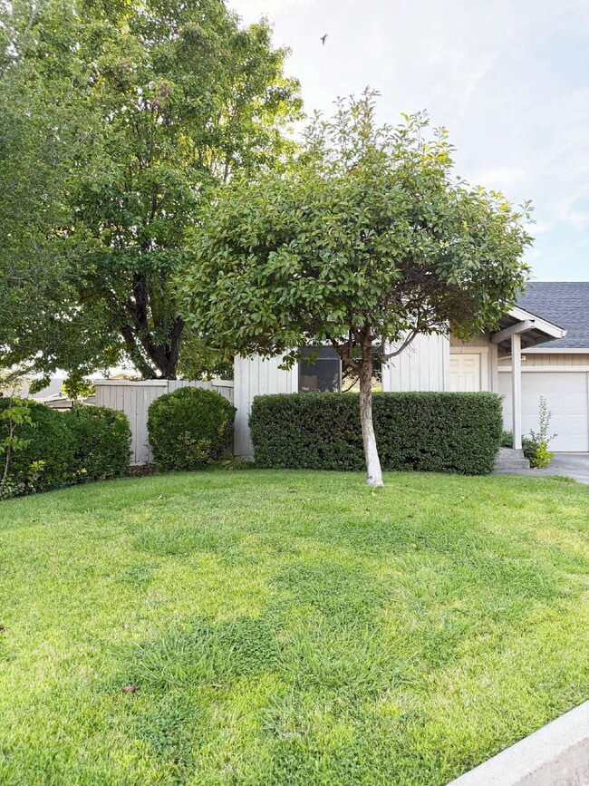 Building Photo - Single-Level Sonoma Living Less Than a Mile from the Historic Plaza