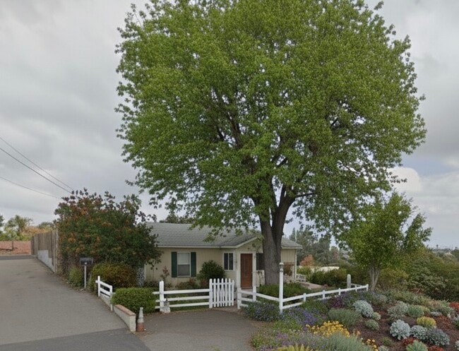 Photo - 1515 Lovely Ln