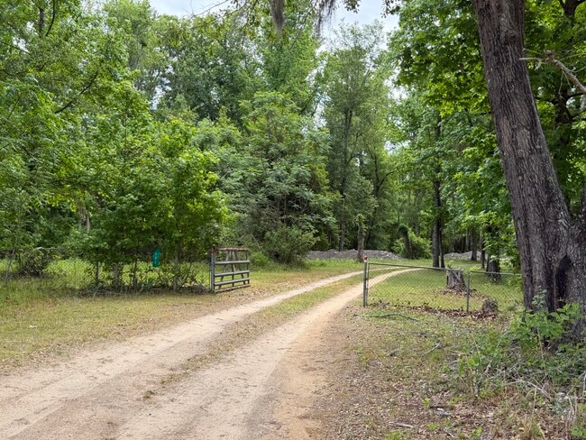 Photo - 209 Verdi Ln