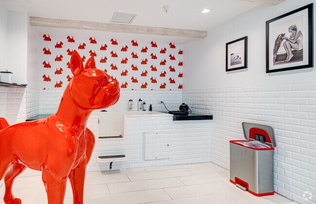 Dog Spa