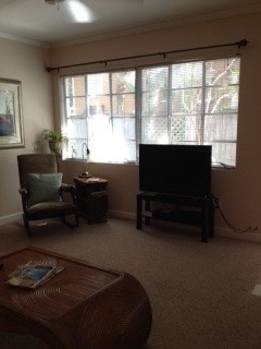 Photo - 503 E Amelia St