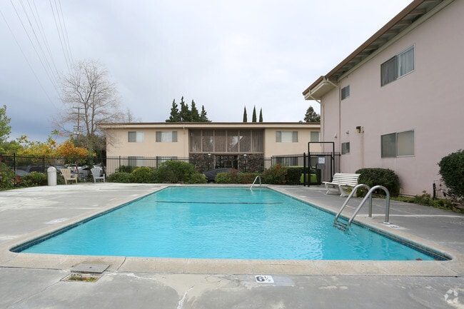 Piscina - ReNew Arden