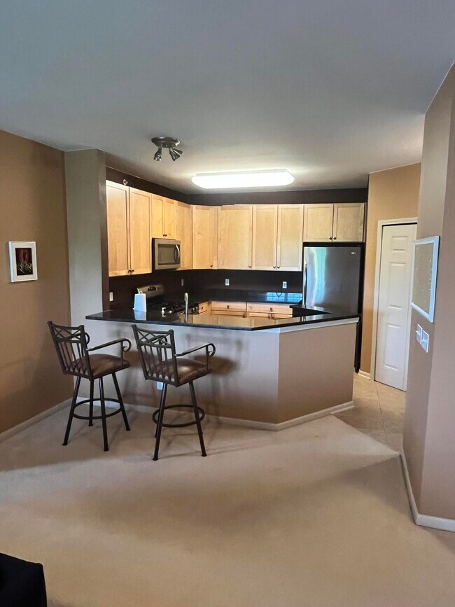 859 E Summerfield Glen Cir Condo Condo for Rent in Ann Arbor, MI